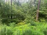 Lot 10 Off Camp Run Rd - Photo 5