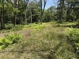 Lot 87 Laurel - Photo 11