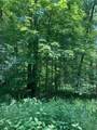 1215 Sandy Run Rd - Photo 5