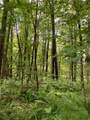 1215 Sandy Run Rd - Photo 7