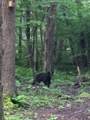 1215 Sandy Run Rd - Photo 8