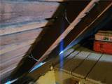 1023 Raspberry St - Photo 39