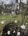 700 Waldheim Road - Photo 44