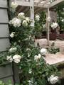 700 Waldheim Road - Photo 45