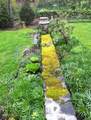 700 Waldheim Road - Photo 48
