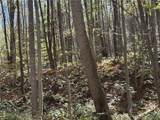 Lot 1 Neals Run Road - Photo 9