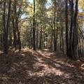 224 Morrow Rd - Photo 22