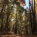 224 Morrow Rd - Photo 24