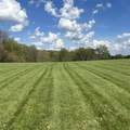 224 Morrow Rd - Photo 3