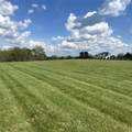 224 Morrow Rd - Photo 4