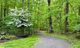 104 Saybrook Harbor - Photo 9
