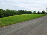 0 Mt Olive Rd - Photo 1