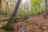 120 Youngstown Ridge Rd - Photo 41