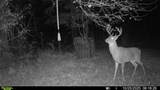 10019 Dingman Rd - Photo 42