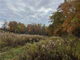 10019 Dingman Rd - Photo 47
