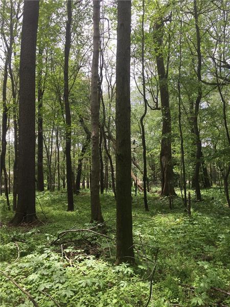 1028 State Route 56 - Photo 1