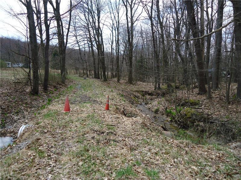 713 Rod And Gun Road - Photo 1