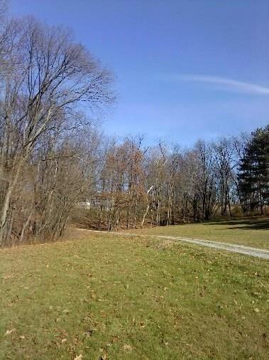 Lot 1 Spooky Hollow Rd - Photo 1