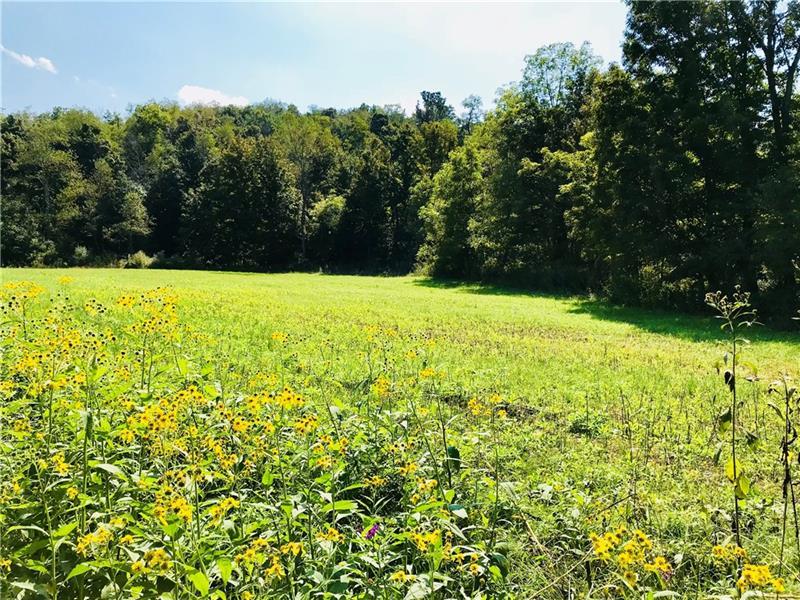 0 Boone Road - Photo 1