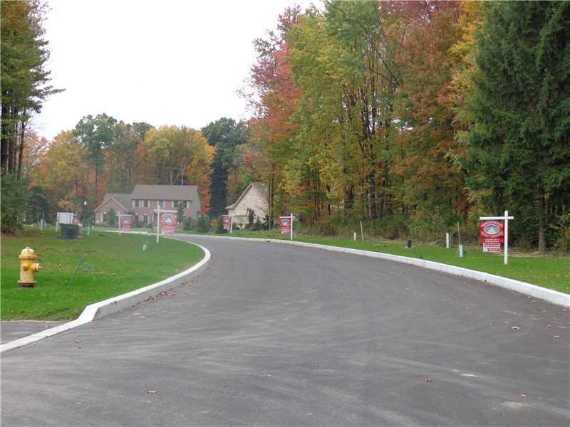 Lot # 64 Alexander Crossing - Photo 1