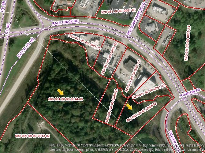 0 Racetrack Rd - Photo 1
