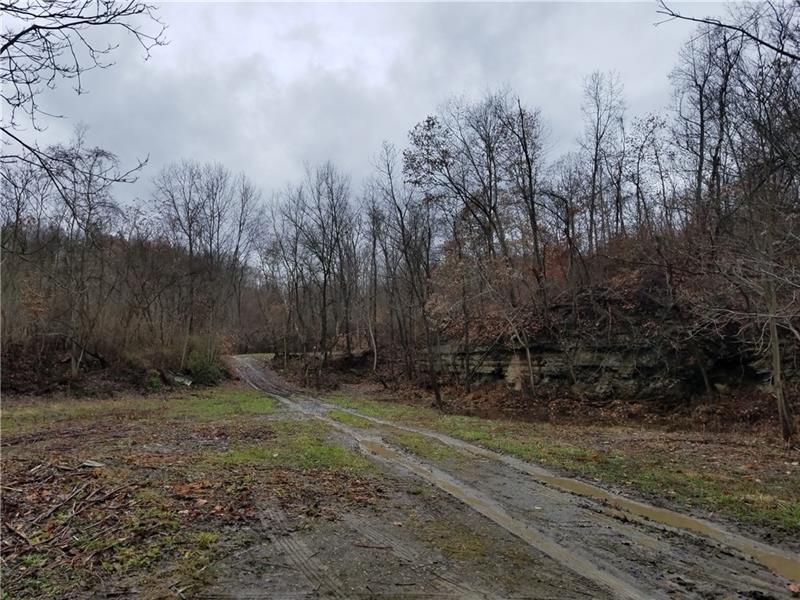0000 Starr Ln - Photo 1