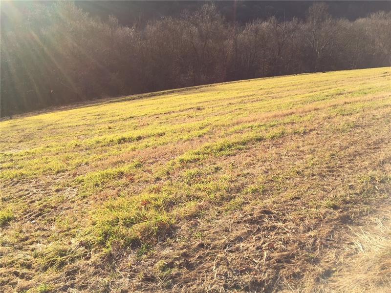 Lot 4 Old Leechburg Rd - Photo 1