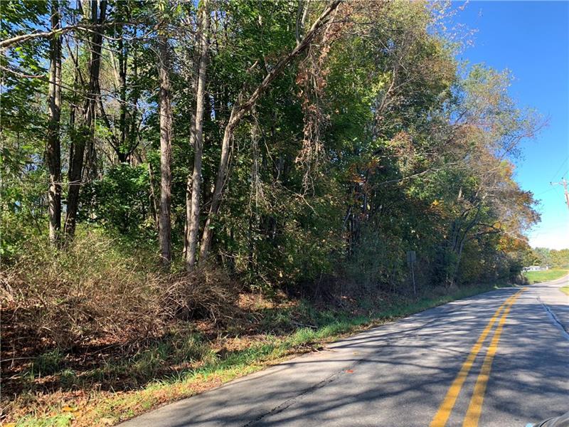 0 Old Hickory Ridge Road - Photo 1