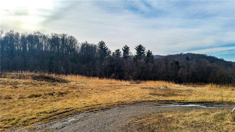 0 Pike Rd - Photo 1
