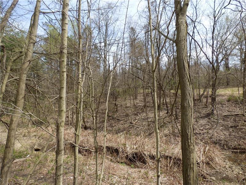 131 Kerr Rd - Photo 1