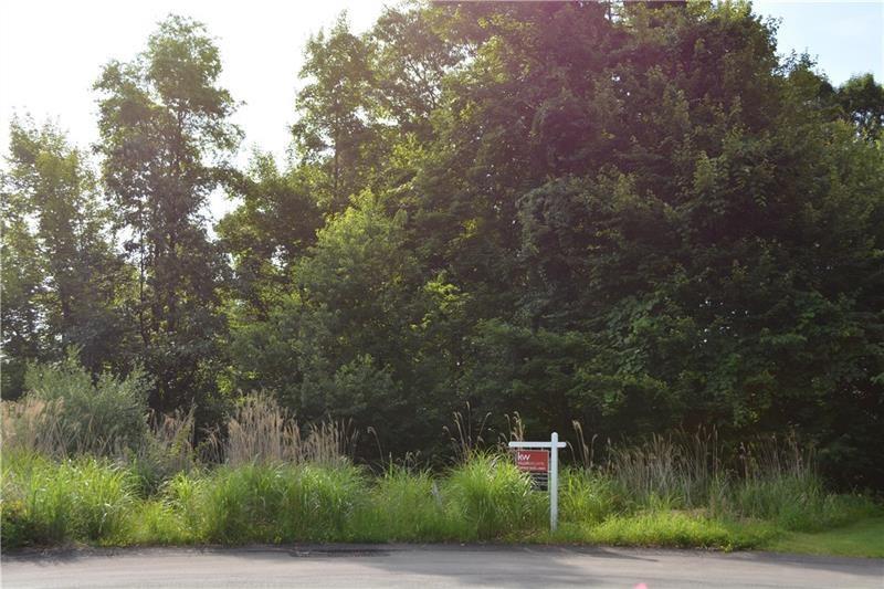 310 (LOT 133) Mccutcheon Ct - Photo 1