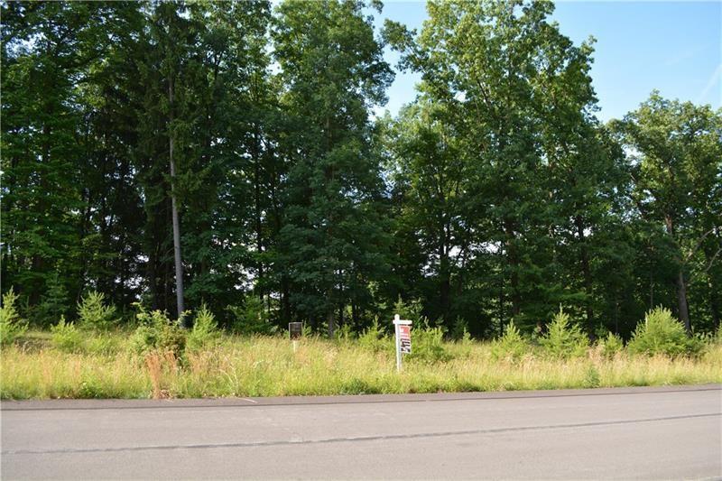 220 (LOT 318) Macfadden Dr - Photo 1
