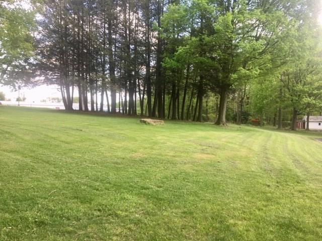 241 Rustic Lodge Road - Photo 1
