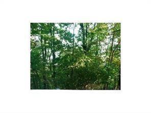 2215 Linwood Drive - Photo 1