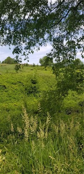 Lot 202 Pfeifer Rd - Photo 1 Lot 202 Pfeifer Rd - Photo 1