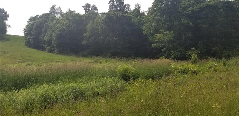 Lot 210 Pfeifer Rd - Photo 1 Lot 210 Pfeifer Rd - Photo 1