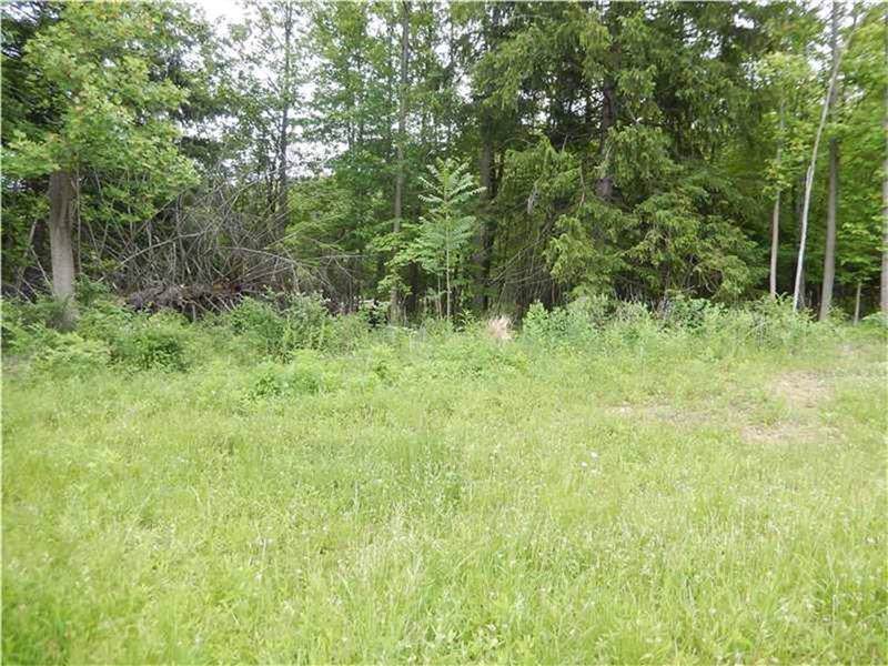 Lot 1 Almont Lane - Photo 1