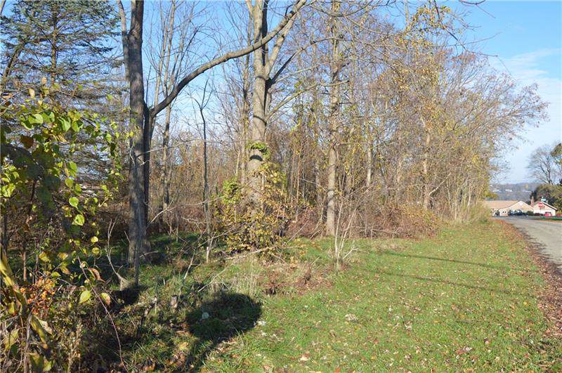 Lots 31 & 32 Grandview - Photo 1
