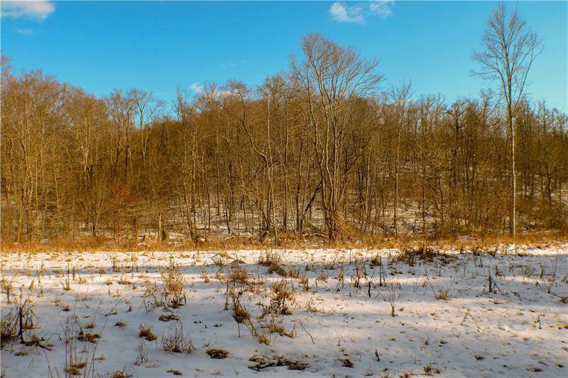 357 Redwood Road - Photo 1