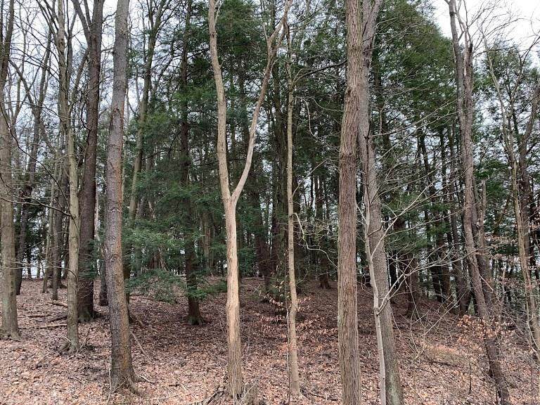 149 Eisele Road - Photo 1