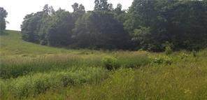 Lot 210 Pfeifer Rd (Creekwood Fields) - Photo 1