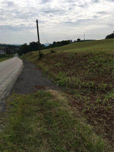 Lot#5-A Frye Farm Road - Photo 1