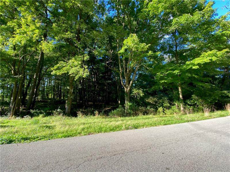 0 Country Club Road - Photo 1