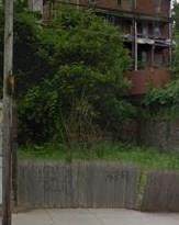 402 8th Ave - Photo 1