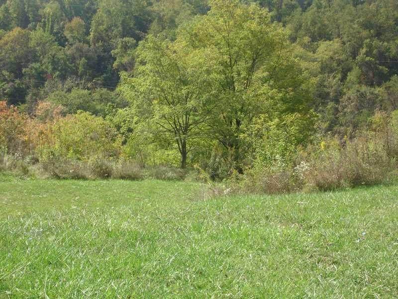 Lot 134 Dominion Heights - Photo 1