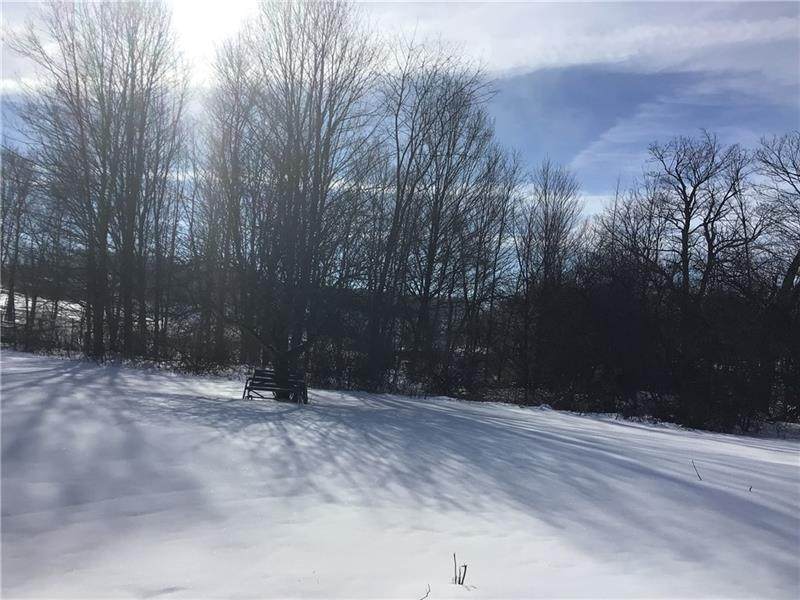 17834 Rte 286 Hwy - Photo 1