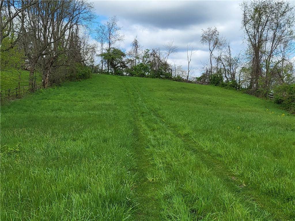 Lot 1 N Spring Valley Rd - Photo 1