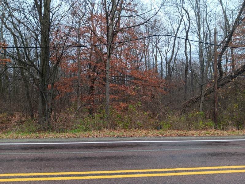 00 Route 217 - Photo 1