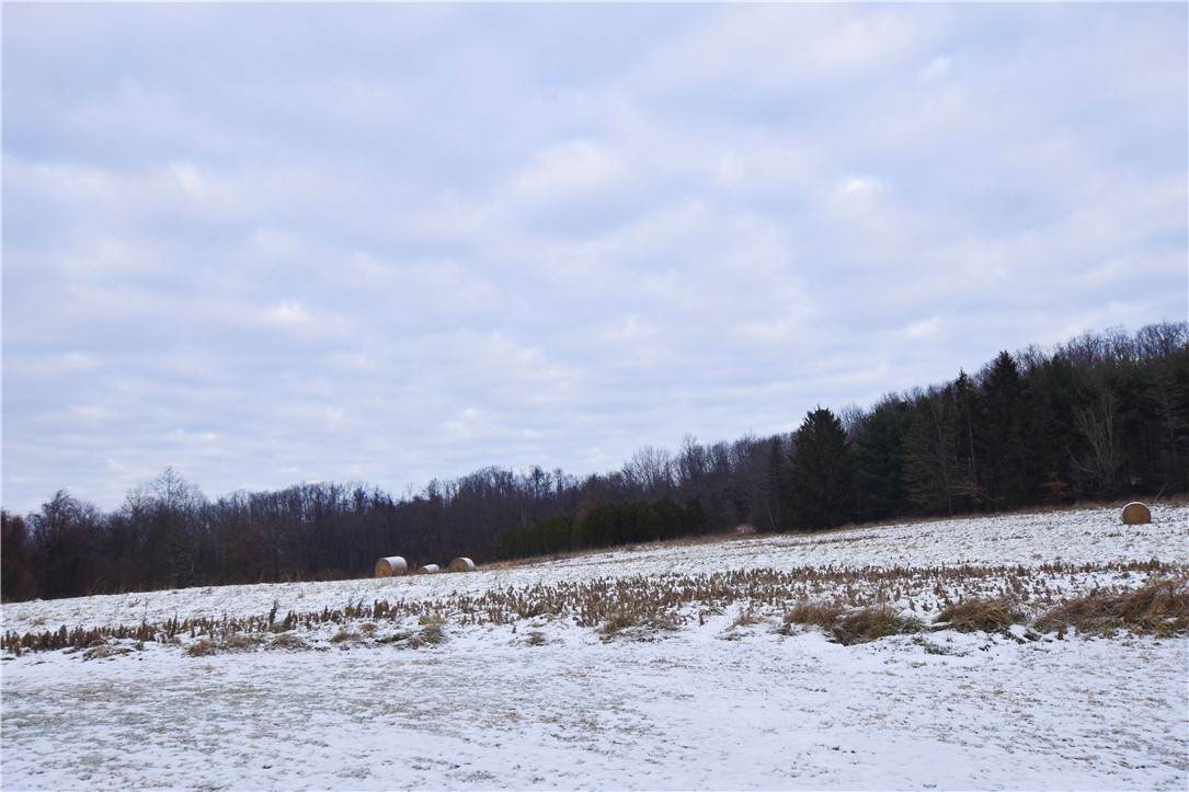 110 Old Rt 8 - Photo 1