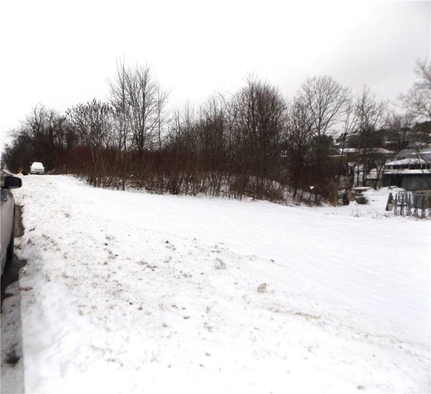 0 Coal Lick Hollow Rd - Photo 1